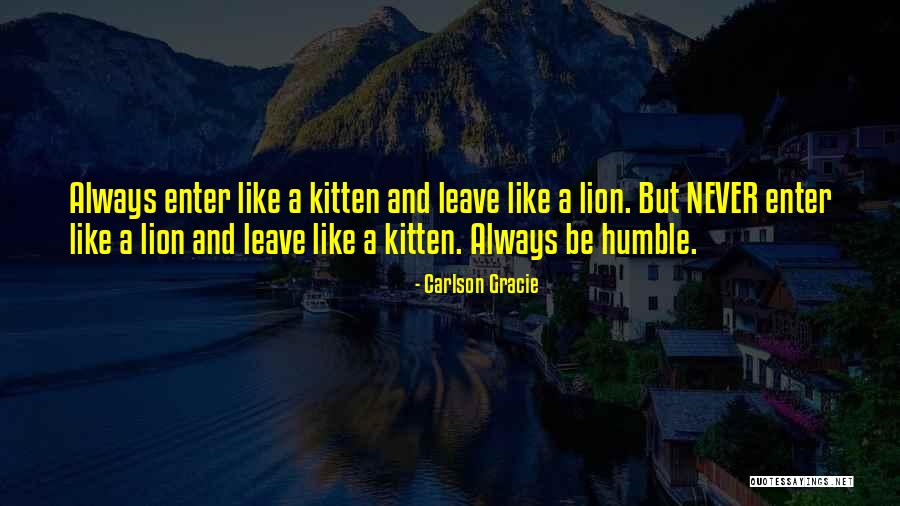 Lion Never Quotes By Carlson Gracie Lion Never Quotes By Carlson Gracie