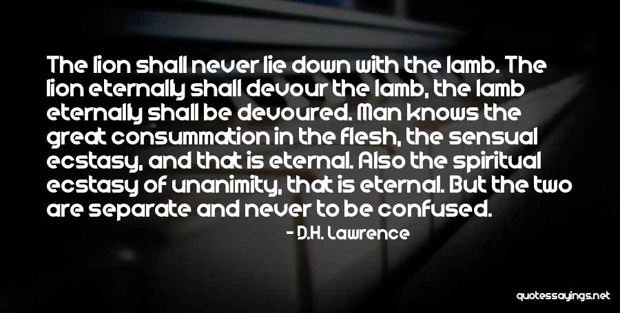 Lion Never Quotes By D.H. Lawrence Lion Never Quotes By D.H. Lawrence
