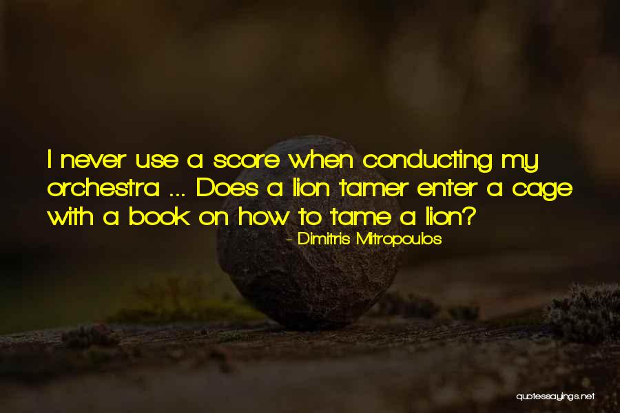 Lion Never Quotes By Dimitris Mitropoulos Lion Never Quotes By Dimitris Mitropoulos