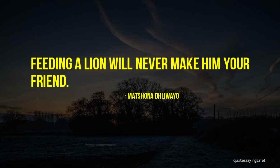 Lion Never Quotes By Matshona Dhliwayo Lion Never Quotes By Matshona Dhliwayo