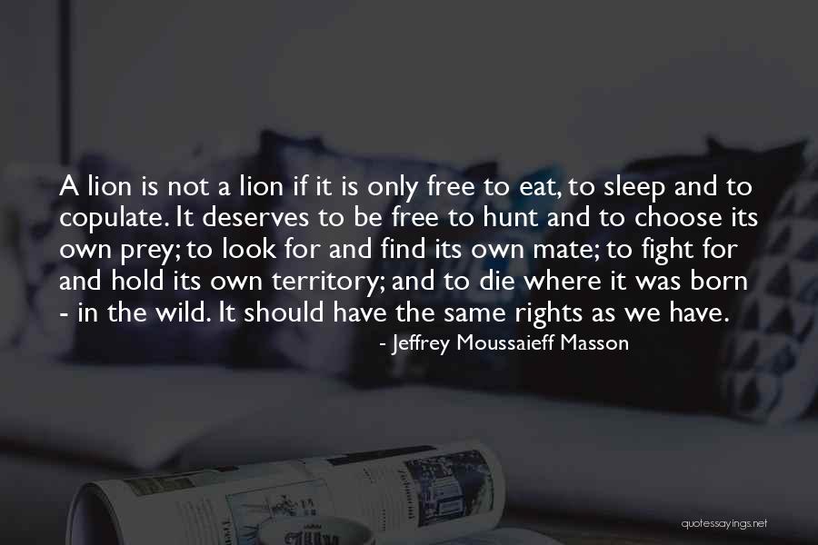 Lion Prey Quotes By Jeffrey Moussaieff Masson