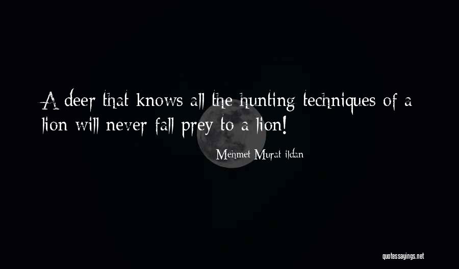 Lion Prey Quotes By Mehmet Murat Ildan