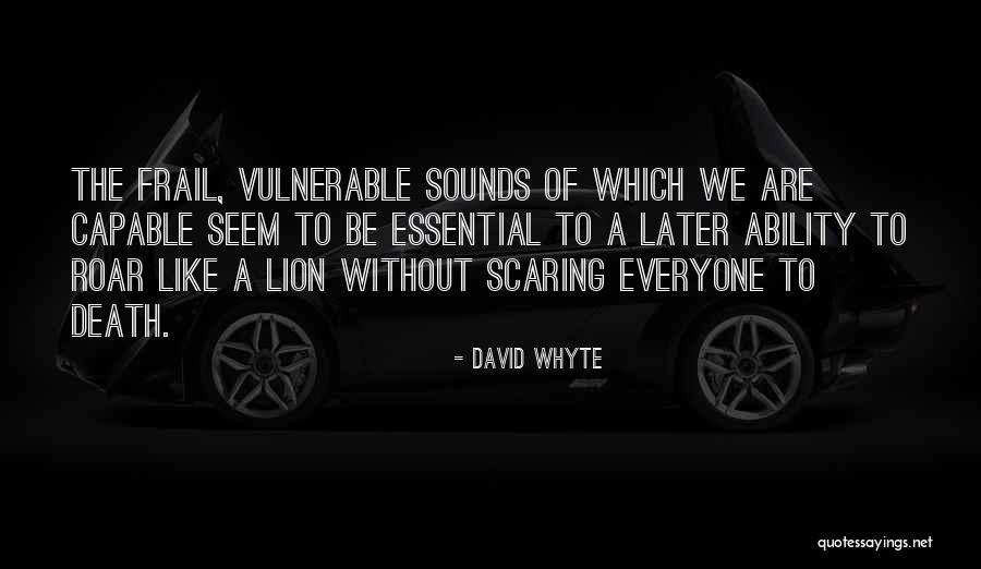 Lion Roar Quotes By David Whyte Lion Roar Quotes By David Whyte