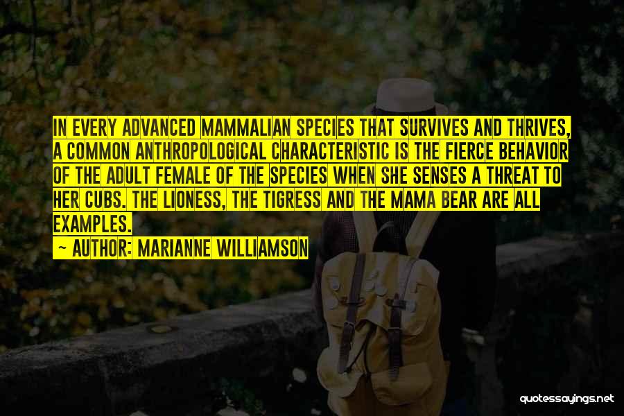Lioness Quotes By Marianne Williamson