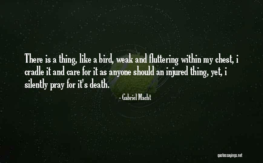 Lioni Brooklyn Quotes By Gabriel Macht Lioni Brooklyn Quotes By Gabriel Macht