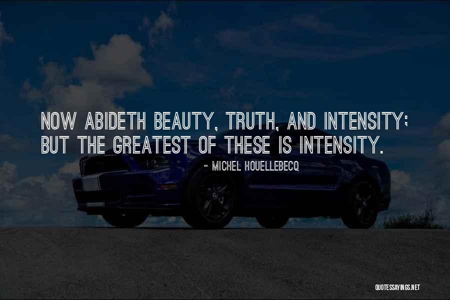 Lionkit Hollykit Quotes By Michel Houellebecq Lionkit Hollykit Quotes By Michel Houellebecq