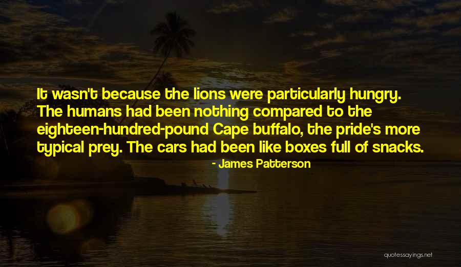 Lions And Prey Quotes By James Patterson