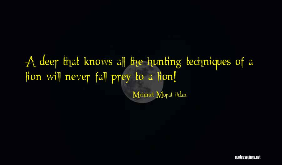 Lions And Prey Quotes By Mehmet Murat Ildan