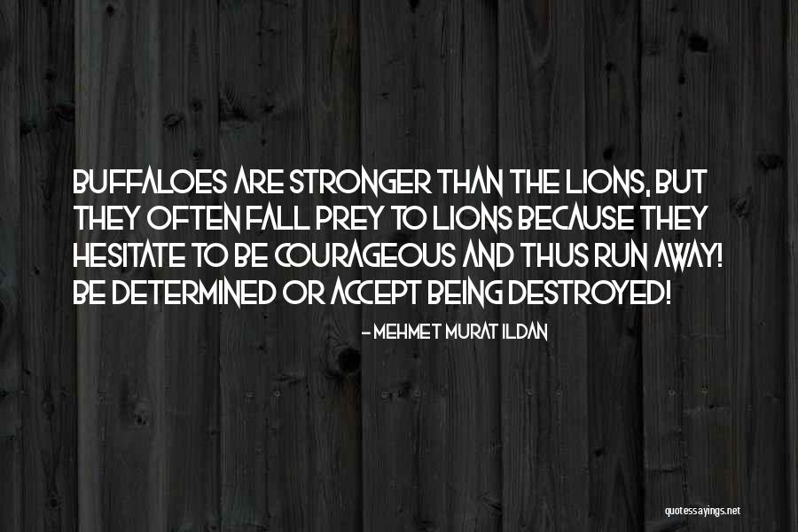 Lions And Prey Quotes By Mehmet Murat Ildan