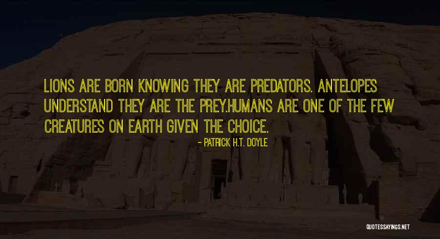 Lions And Prey Quotes By Patrick H.T. Doyle