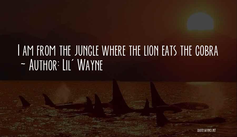 Lions Quotes By Lil' Wayne