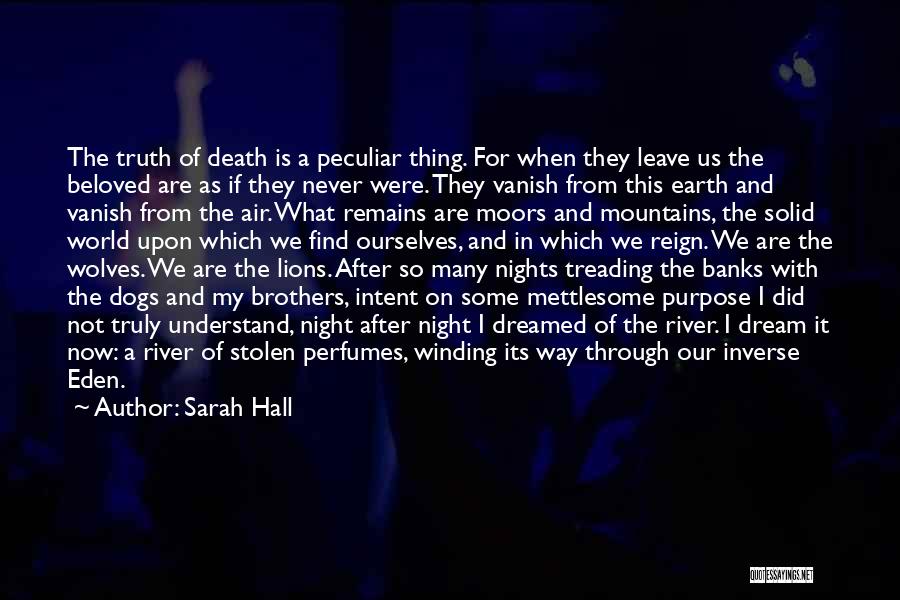 Lions Quotes By Sarah Hall