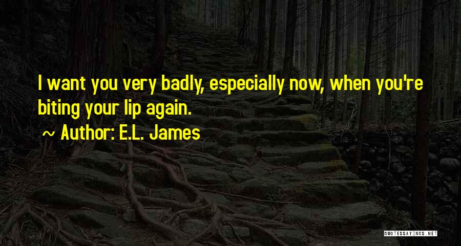 Lip Biting Quotes By E.L. James