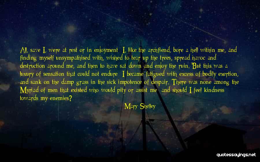 Liping Ma Quotes By Mary Shelley Liping Ma Quotes By Mary Shelley
