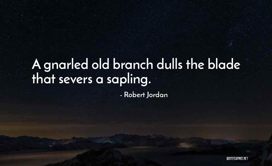 Lipitise Quotes By Robert Jordan Lipitise Quotes By Robert Jordan