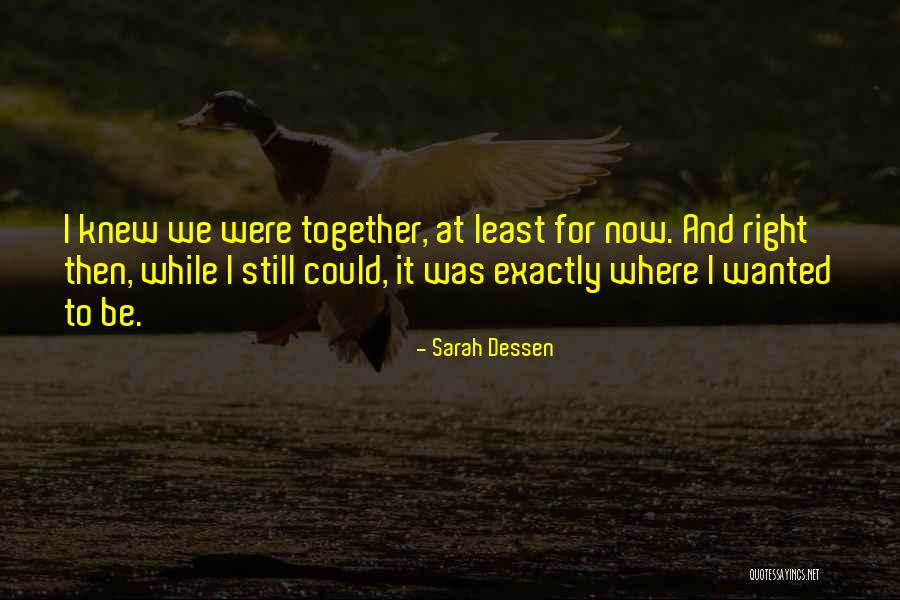 Lipkowitz Quotes By Sarah Dessen Lipkowitz Quotes By Sarah Dessen