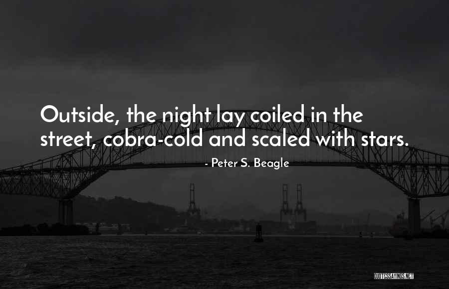 Lippenslaan Quotes By Peter S. Beagle Lippenslaan Quotes By Peter S. Beagle