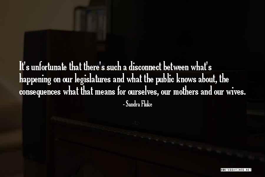 Lippenstein Quotes By Sandra Fluke Lippenstein Quotes By Sandra Fluke
