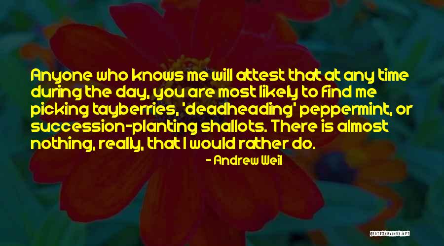 Lipper International Quotes By Andrew Weil Lipper International Quotes By Andrew Weil