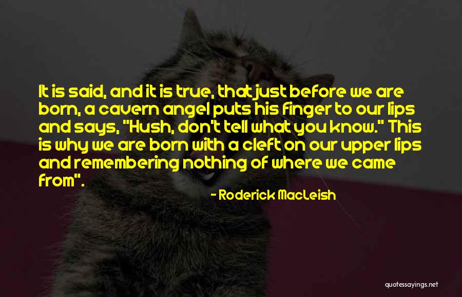 Lips Of An Angel Quotes By Roderick MacLeish