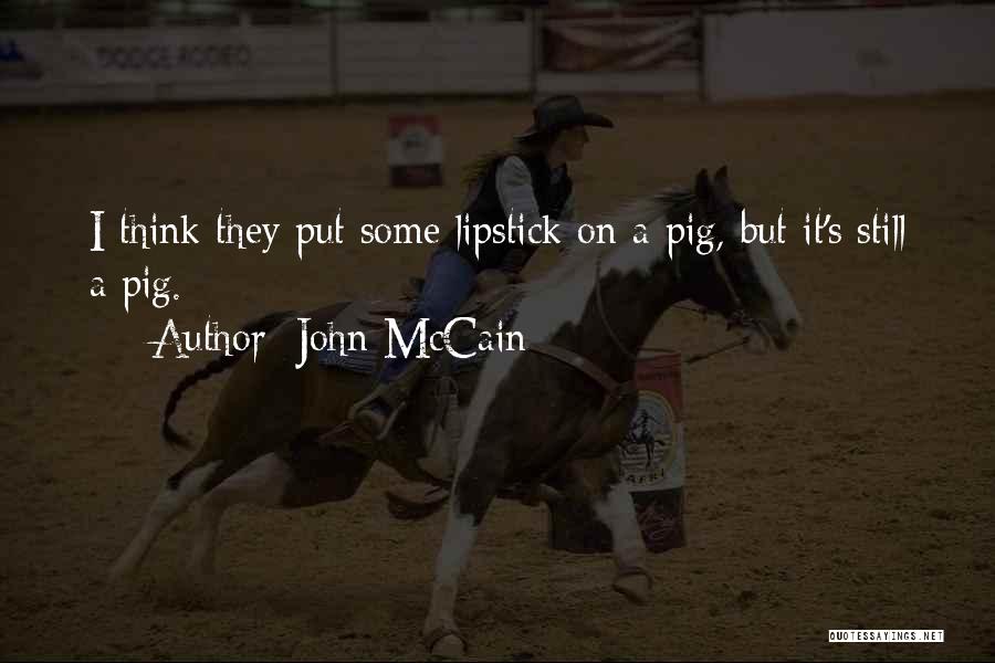 Lipstick On A Pig Quotes By John McCain