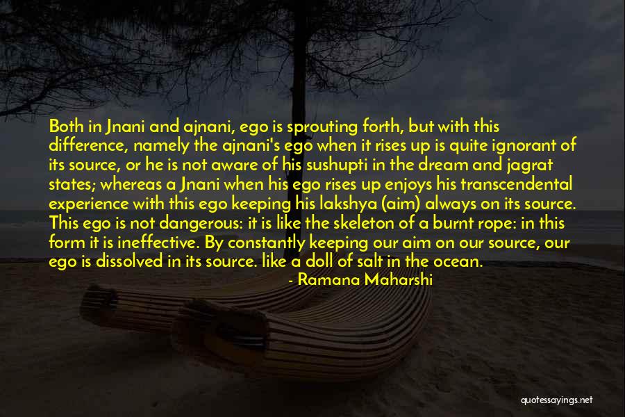 Lipsyte Lip Quotes By Ramana Maharshi