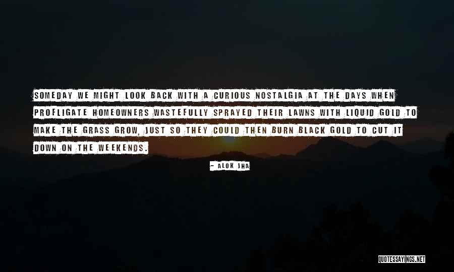Liquid Gold Quotes By Alok Jha Liquid Gold Quotes By Alok Jha
