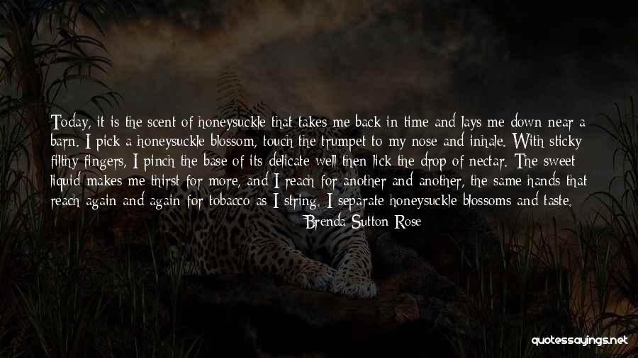 Liquid Life Quotes By Brenda Sutton Rose