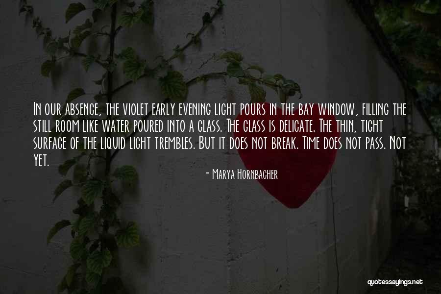 Liquid Quotes By Marya Hornbacher Liquid Quotes By Marya Hornbacher
