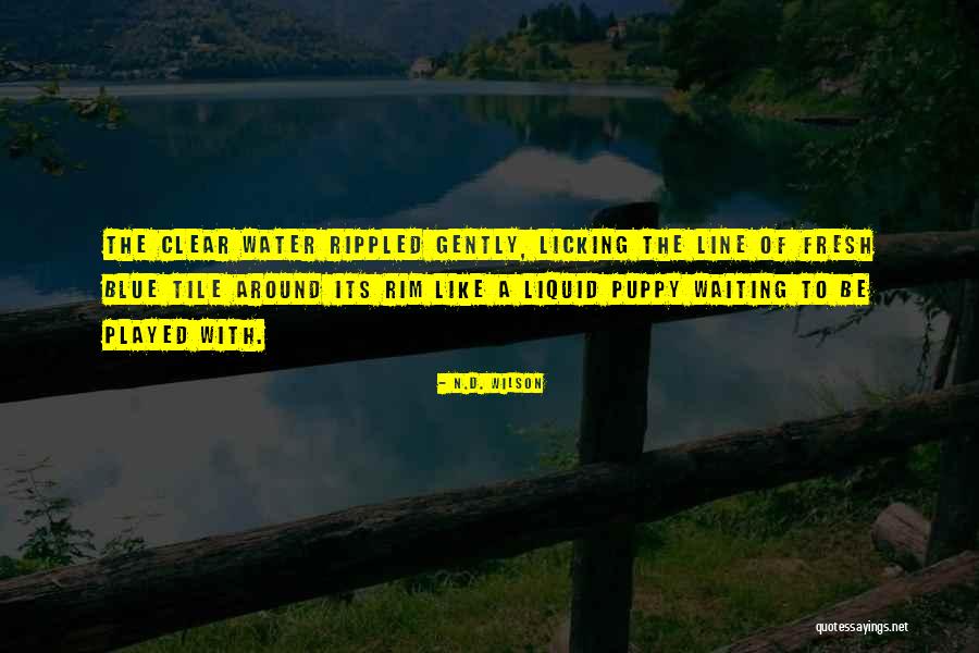 Liquid Quotes By N.D. Wilson Liquid Quotes By N.D. Wilson