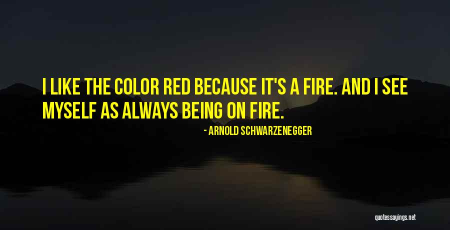 Liquidam Ez Quotes By Arnold Schwarzenegger Liquidam Ez Quotes By Arnold Schwarzenegger