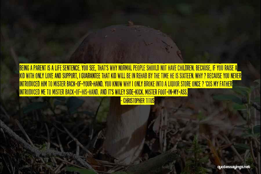 Liquor And Life Quotes By Christopher Titus Liquor And Life Quotes By Christopher Titus