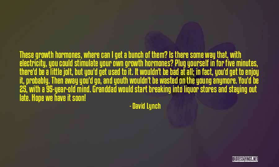 Liquor Where Quotes By David Lynch Liquor Where Quotes By David Lynch