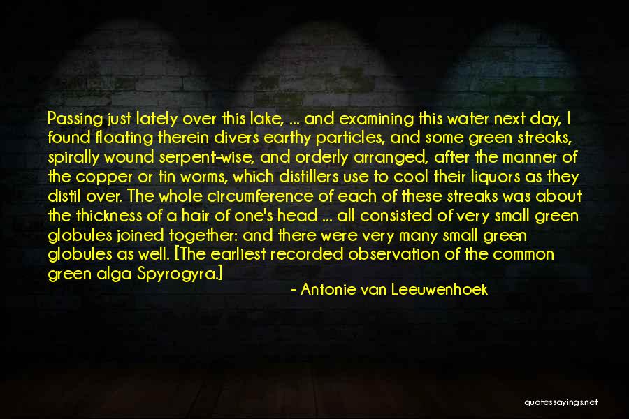 Liquors More Quotes By Antonie Van Leeuwenhoek Liquors More Quotes By Antonie Van Leeuwenhoek