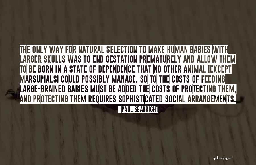Liridon Arifi Quotes By Paul Seabright Liridon Arifi Quotes By Paul Seabright