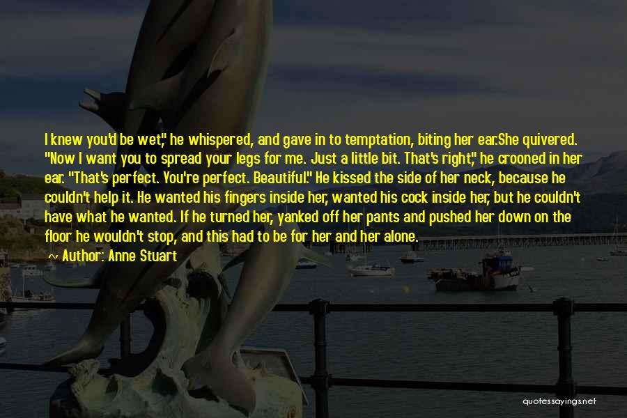 Lisa Beamer Quotes By Anne Stuart