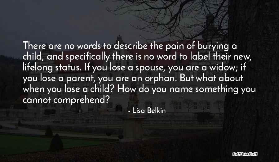 Lisa Belkin Quotes 423580 Lisa Belkin Quotes 423580