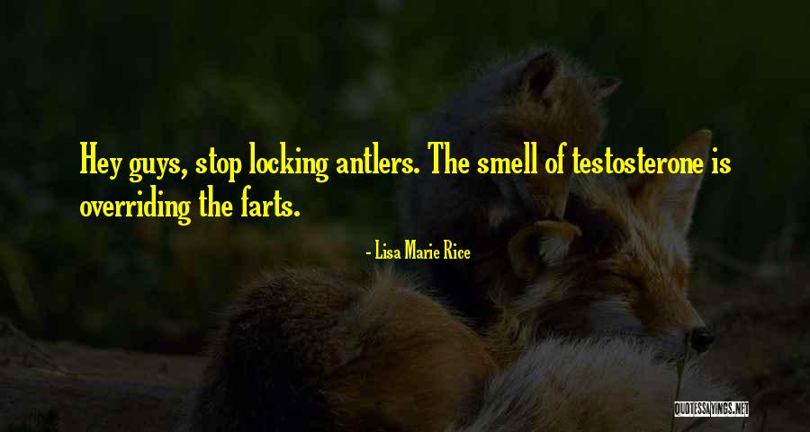 Lisa Marie Rice Quotes 286941 Lisa Marie Rice Quotes 286941