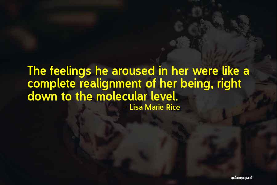 Lisa Marie Rice Quotes 374105