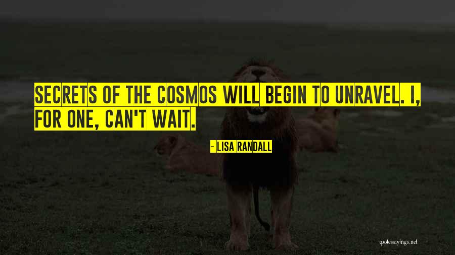 Lisa Randall Quotes 444049