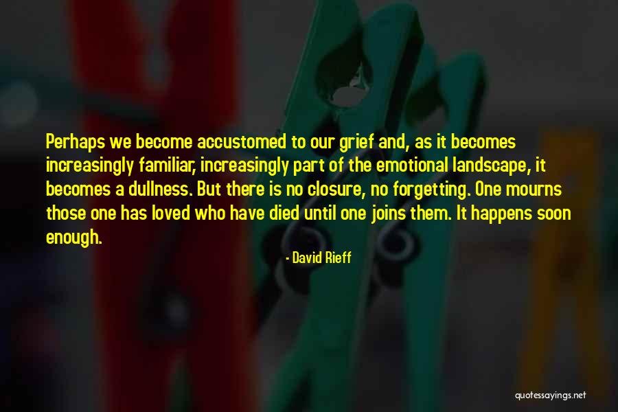 Lisa Rival Quotes By David Rieff Lisa Rival Quotes By David Rieff