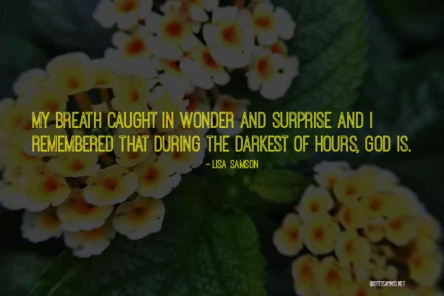 Lisa Samson Quotes 1511395 Lisa Samson Quotes 1511395