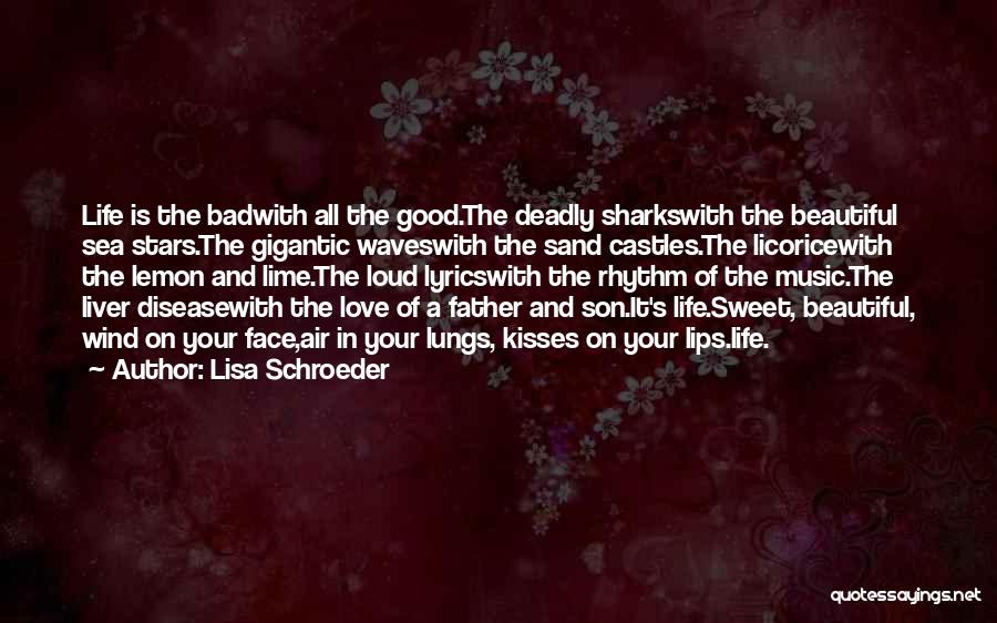 Lisa Schroeder Quotes 333314