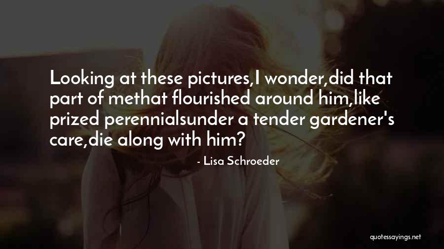 Lisa Schroeder Quotes 534614 Lisa Schroeder Quotes 534614