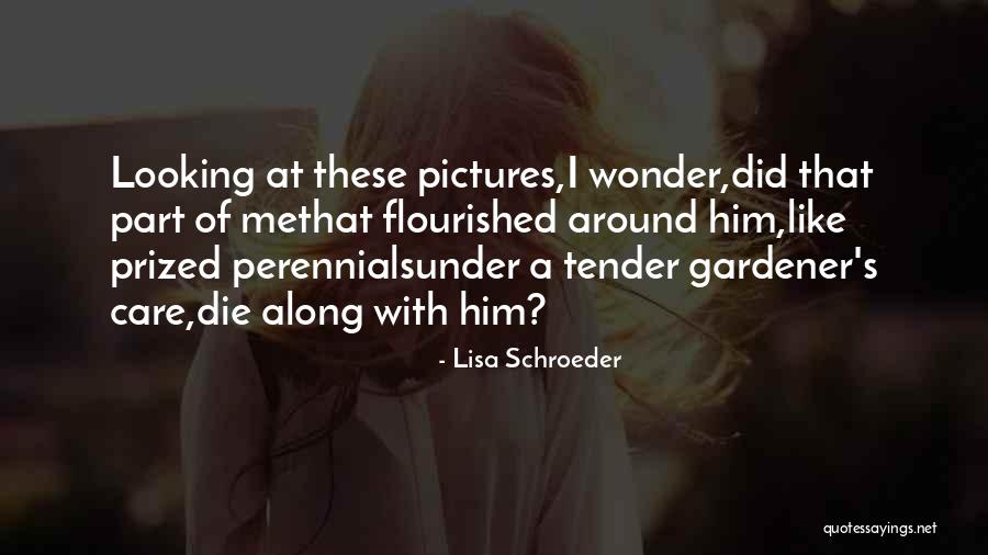 Lisa Schroeder Quotes 534614