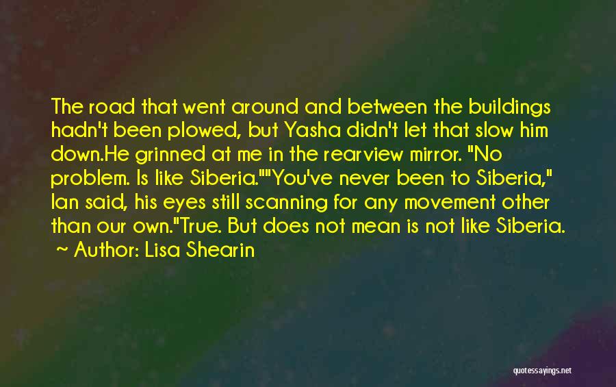 Lisa Shearin Quotes 1471703