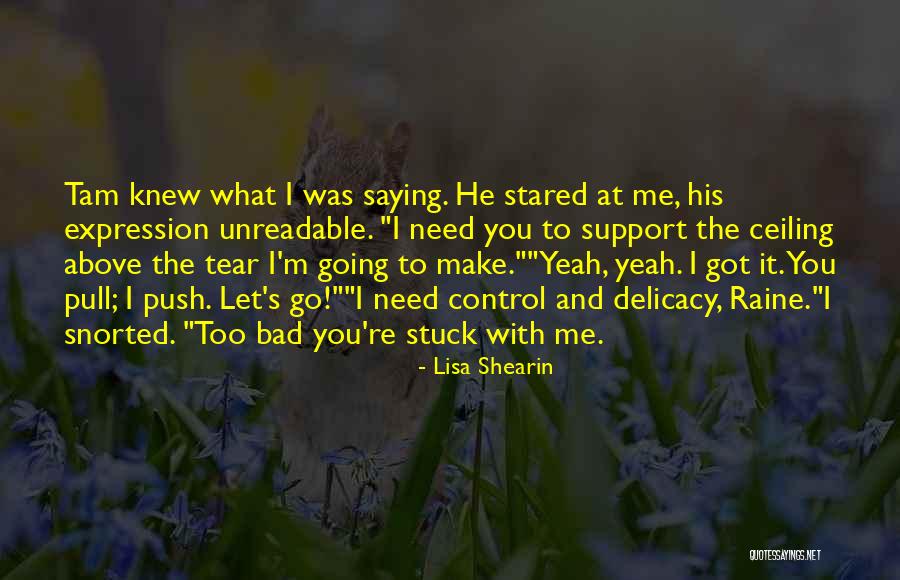 Lisa Shearin Quotes 2191231