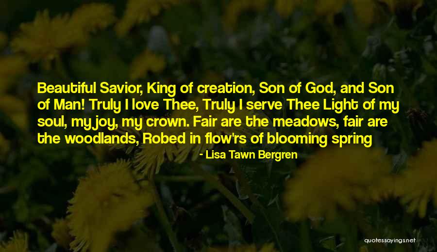 Lisa Tawn Bergren Quotes 1872773