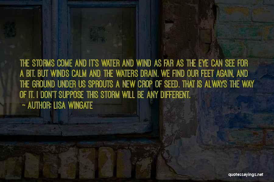 Lisa Wingate Quotes 439997