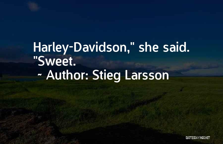 Lisbeth Salander Quotes By Stieg Larsson